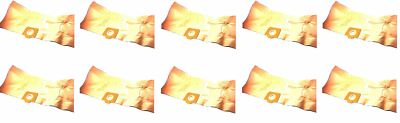 Replacement Vacuum Cleaner Bag x 10 for LIDL PARKSIDE PNTS 30/6