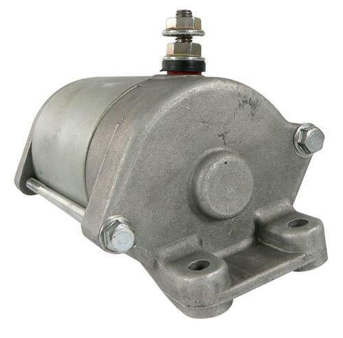 mpblures wild boar SR③ IMG_7416-1024x683.jpg