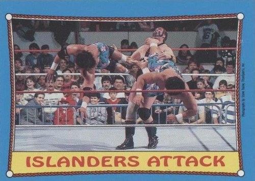 1987 O-Pee-Chee WWF - The Islanders #30