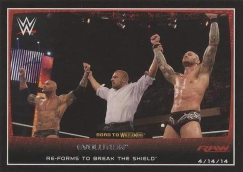 2015 Topps WWE Road to Wrestlemania - Evolution #7