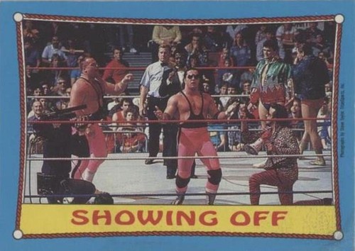 1987 O-Pee-Chee WWF - The Hart Foundation #63