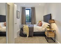 BEAUTIFULLY designed 1 bedroom flat in BR2