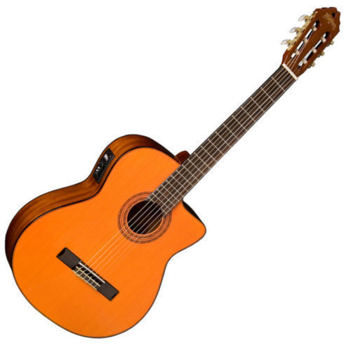Acoustic Electric Guitars
