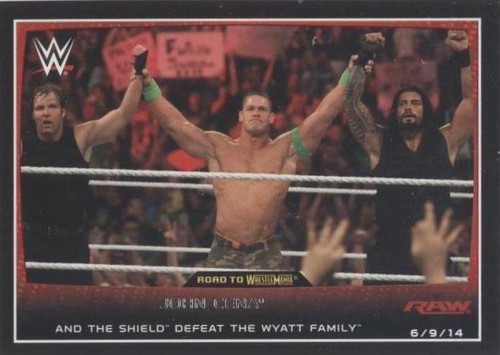 未開封　WWE 新日　エリート！天災　テンサイ（ジャイアント・バーナード） WWE WWF Wrestlemania 24 Autographed Signed RINGSIDE PPV
