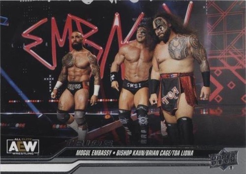 Sixth/MARTIAL LAW SWEDENBORG(DIEZW3Eメンバー Bishop Kaun/Brian Cage/Toa Liona 2024 Upper Deck AEW