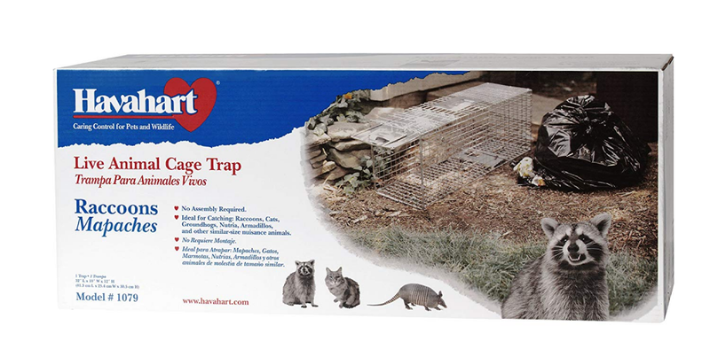 Havahart 1079 Large 1-Door Humane Animal Trap for Raccoons, Cats, Groundhogs, Op