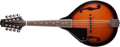 Stagg M20 Left-Handed 8-String Bluegrass Mandolin with Adjustable Bridge - Violi