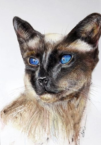 Realism Decorative Posters & Prints