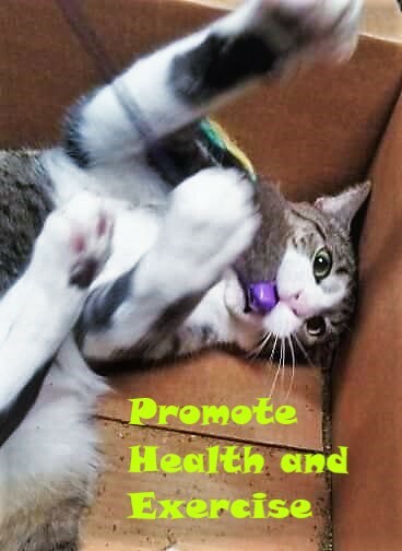 Valerian Mix | For Catnip Resistant Cats | POTENT, All Natural! | Sample or Bulk