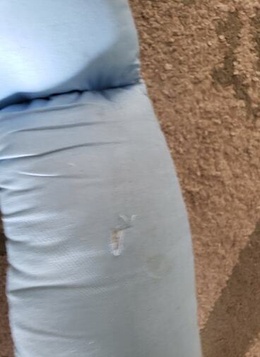 Vintage Bendable Mannequin Boogie Bear's Design dress form 2 year old boy