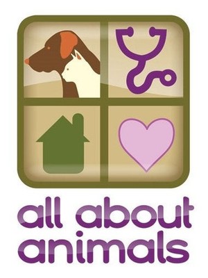 All About Animals Rescue