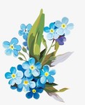 blossomblu