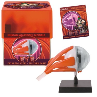 Ein-O Science BioSigns Eye Model (Ages 7+) 3D Biology Puzzle