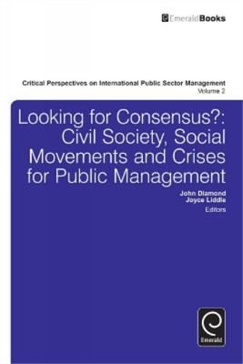 John Diamond Looking for Consensus (Hardback)