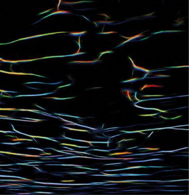 Porter Ricks Biokinetics (Vinyl) 12'' Album (UK IMPORT)