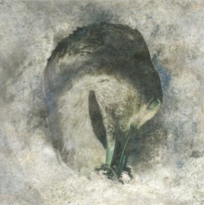 Suma Ashes (CD) Album (UK IMPORT)