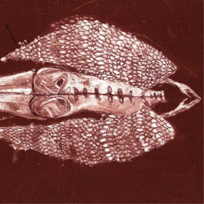 Cerberus Shoal Homb (Vinyl) Anniversary  12'' Album