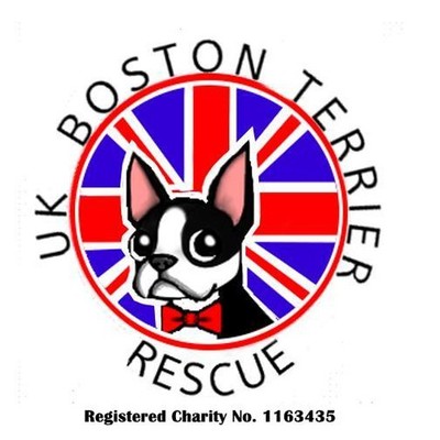 UK Boston Terrier Rescue