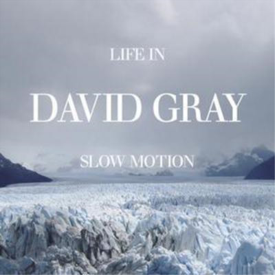 David Gray Life in Slow Motion (CD) Album (UK IMPORT)