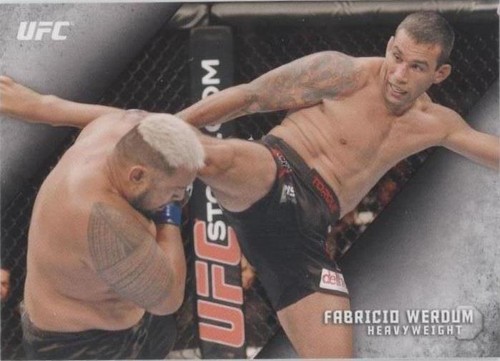 2015 Topps UFC Knockout - Fabricio Werdum #89