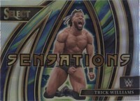 2024 Panini Select WWE - Trick Williams #17