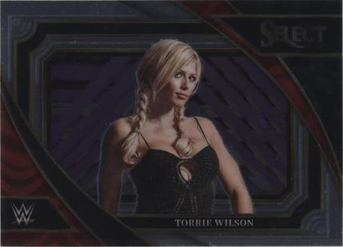2023 Panini Select WWE - Torrie Wilson #373