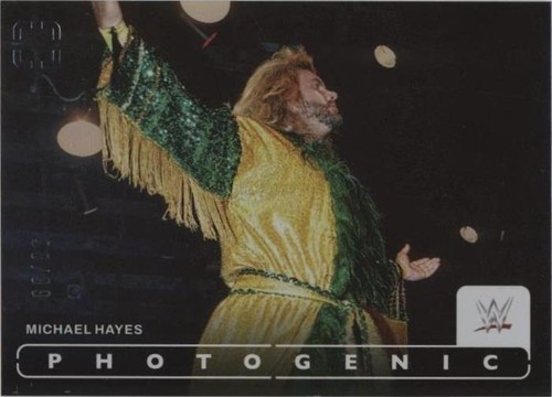 2024 Panini Photogenic WWE - Michael Hayes #56