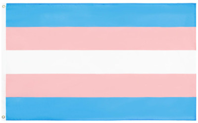 Trans Pride Fahne Flagge XL 90x150cm pride flag CSD LGBTQ queer transgender