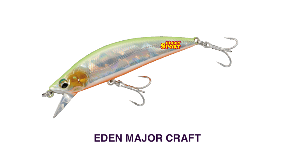MINNOW EDEN SW 50S COL. 001 CHARTBACK  CM 5 GR 4,7 SINKING MAJOR CRAFT SPINNING