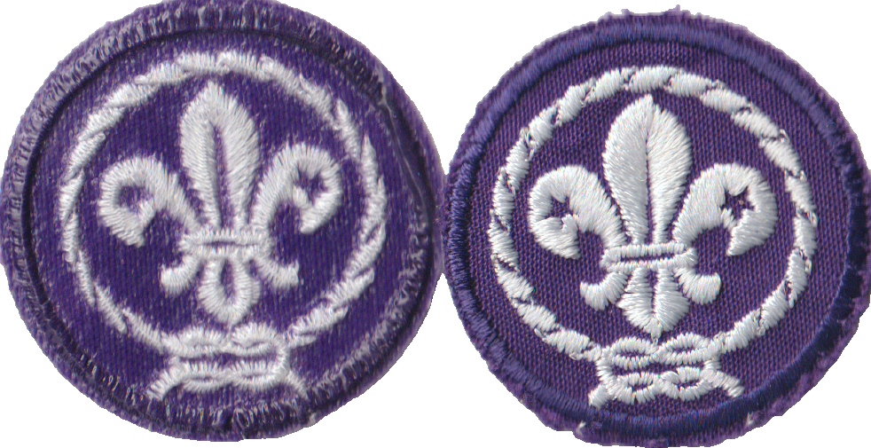 Small World Crest Emblem Plastic Back Patch  (AR2920)