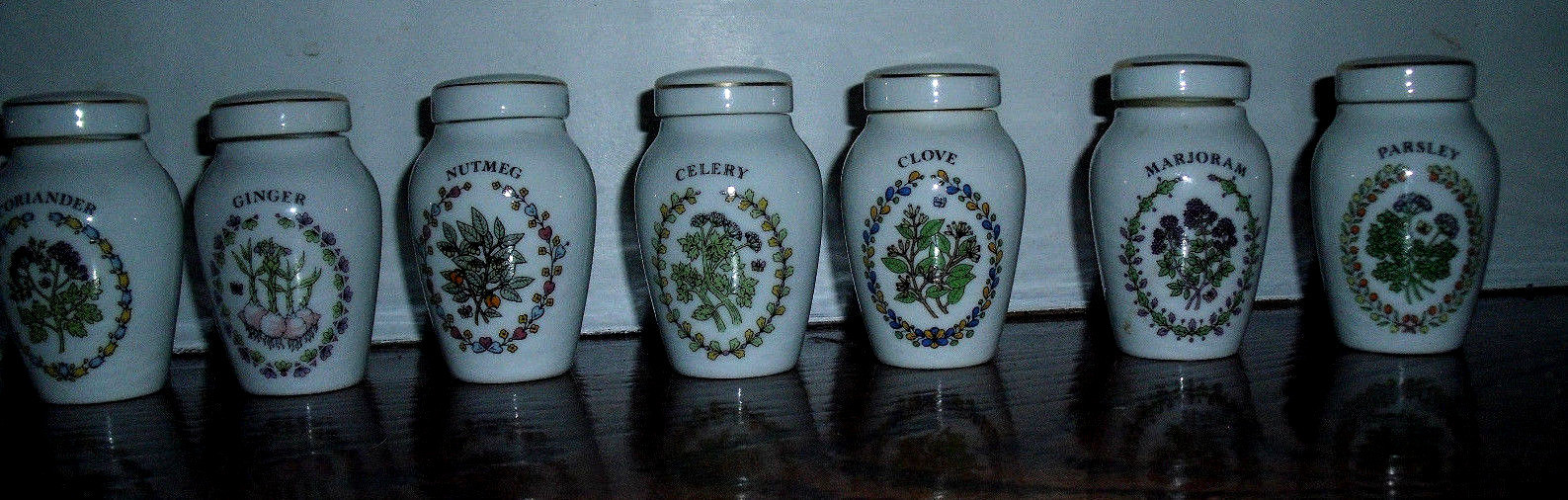 Franklin Mint Fine Porcelain Spice Jars With Lid 1985 Gloria Concepts Set of 20