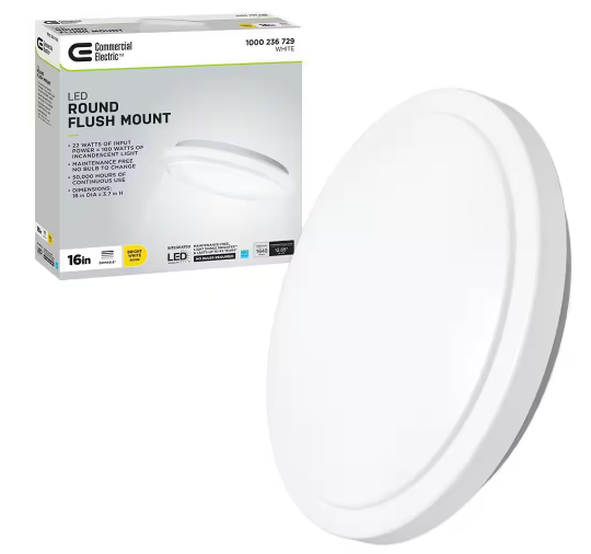 Electric 2024 ceiling lights