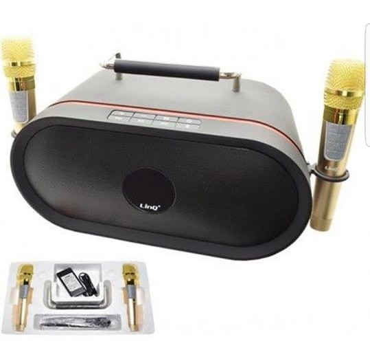 Set Audio Bluetooth Per Karaoke Portatile Cassa Speaker 2 Microfoni Linq K-6668