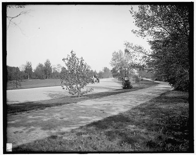 Speedway,Seneca Park,streets,Rochester,New York,NY,Detroit Publishing Co,1905 1