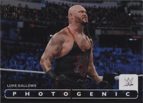 2024 Panini Photogenic WWE - Luke Gallows #91