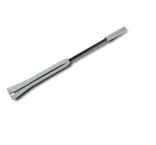 Mini Antenna Radio Auto AutoRadio Universale Adattatori Esterna 12cm Silver hsb