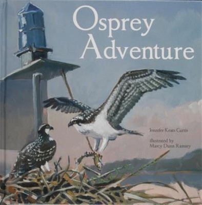 Osprey Adventure, Hardcover by Curtis, Jennifer Keats, Brand New, Free shippi...