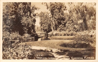 2-H-6 Tropical Lagoon Cypress Gardens Fl Real Photo RPPC