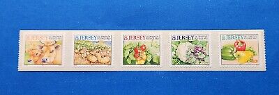 Jersey Stamps, Scott 981 MNH, Folded