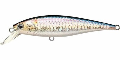 LUCKY CRAFT Pointer 78 Jerkbait (MS American Shad, 3-Inch)