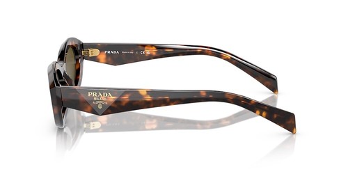 Pre-owned Prada Pr 26zs 14lo9z Honey Tortoise Dark Brown Women Sunglasses Authentic
