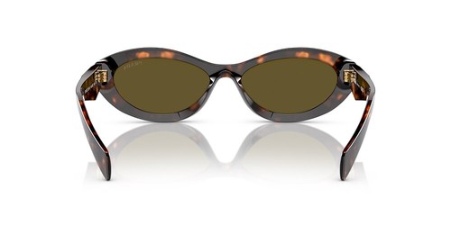 Pre-owned Prada Pr 26zs 14lo9z Honey Tortoise Dark Brown Women Sunglasses Authentic