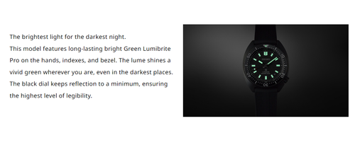 Pre-owned Seiko Prospex "the Black Series"turtle Automatic Watch Spb335j1 / Sbdc183 Usus