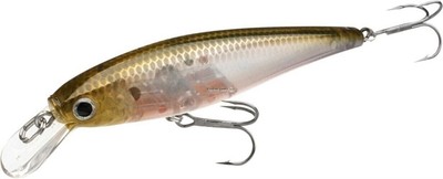 Lucky Craft Pointer 78SP Jerk Bait 3'' 3/8 Oz Ghost Minnow Suspending PT78-238GMN