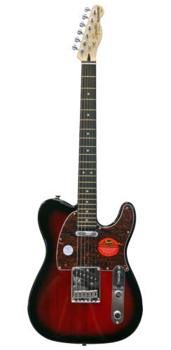 6 String Electric Guitars