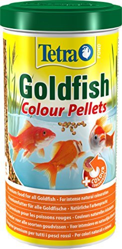 Superfish Aqua 20 Goldfisch Start Set – Komplett-Aquarium Mit LED, Filter, Zubehör, 17 Liter