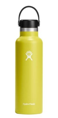 Hydro Flask 21 oz Standard Mouth with Flex Cap Stainless Steel 21 oz, Cactus 