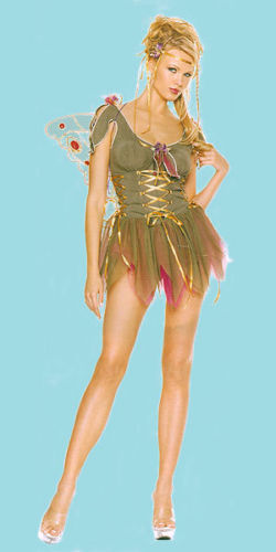 Leg Avenue Lace Fairy Costumes for Women