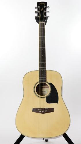 Ibanez 6 String Acoustic Guitars
