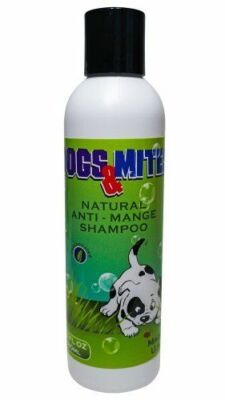 Dogs n Mites Mange Shampoo Treatment Dog Mange Hot Spot Folliculitis Stop Itch